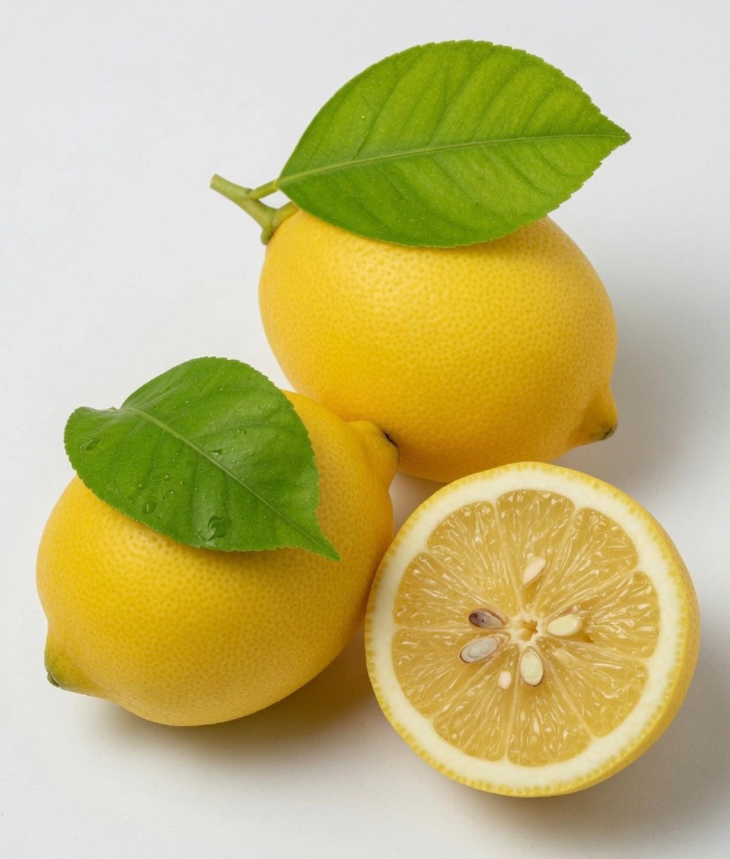 Common Lemon Lemon Meyers Bush — Jolly Green Nursery