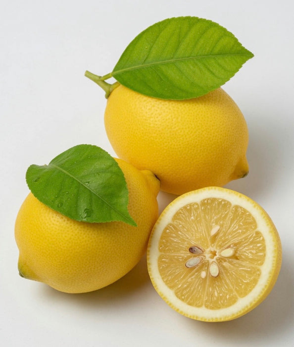 Lemon Meyers Bush