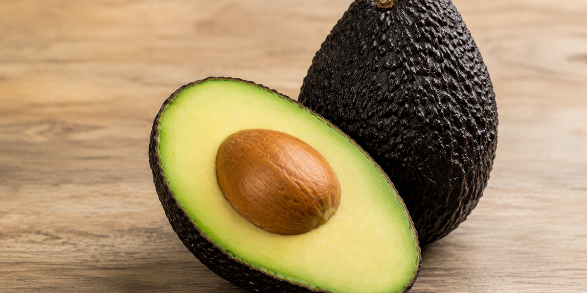 Avocado-Hass (Haas) Tree Type A — Jolly Green Nursery
