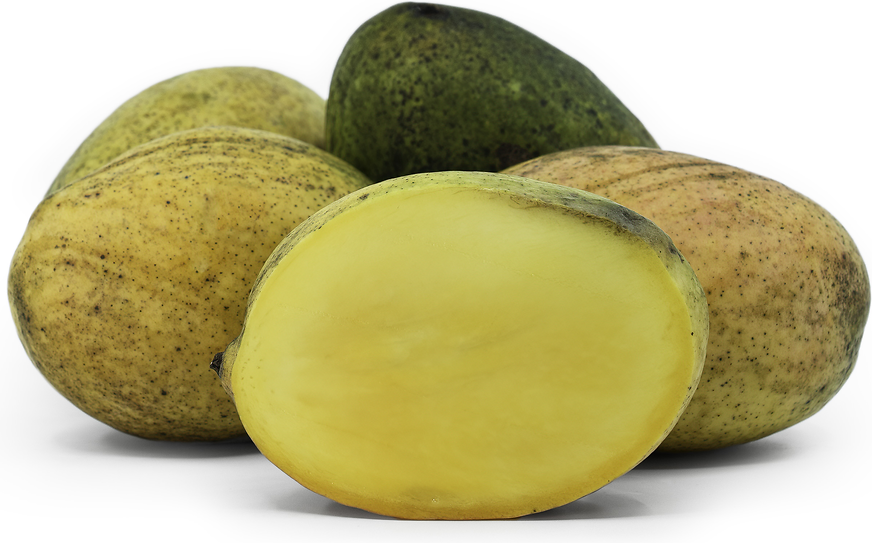 Mango-Coconut Cream Tree by Zill's