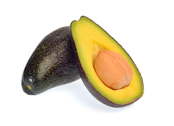 Avocado-Mexicola Type A