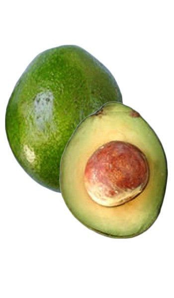 Avocado-Monroe Type B